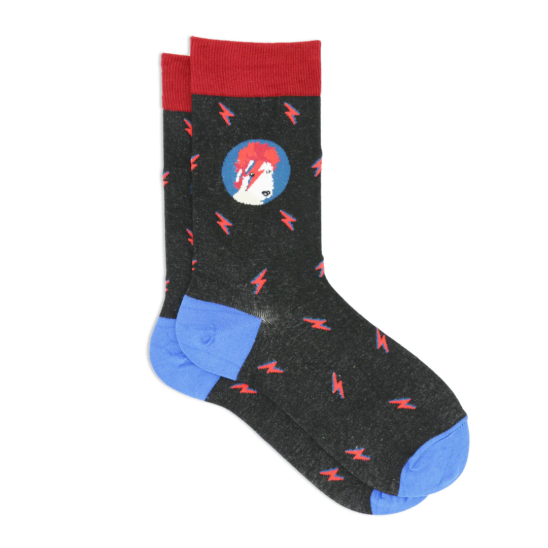 BAZINGA SOCKS