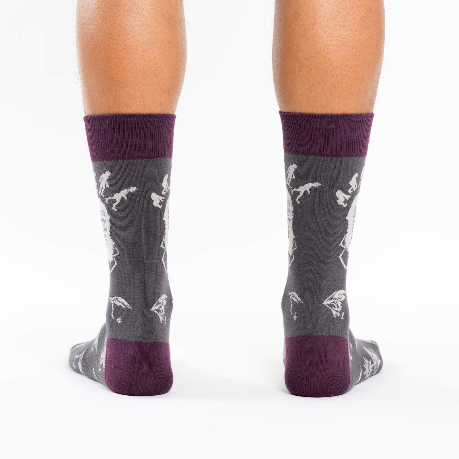 DARWIN SOCKS - Image 2