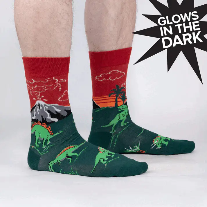 DINOSAUR DAYS SOCKS