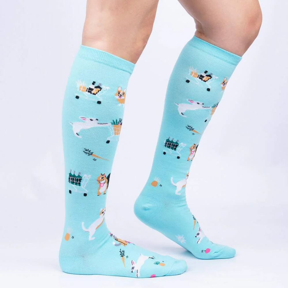 FORGOT WHAT I CAME IN FOR KNEE HIGH SOCKS