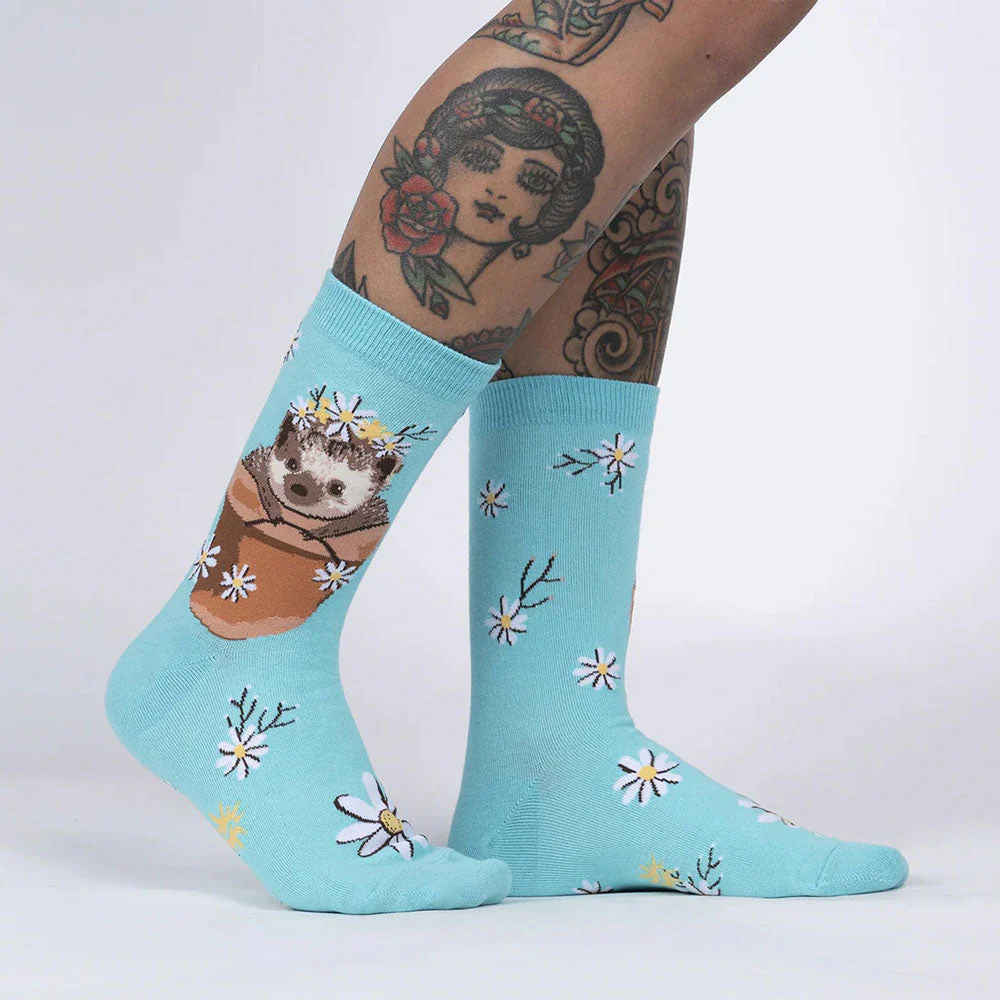 MY DEAR HEDGEHOG SOCKS - Image 2