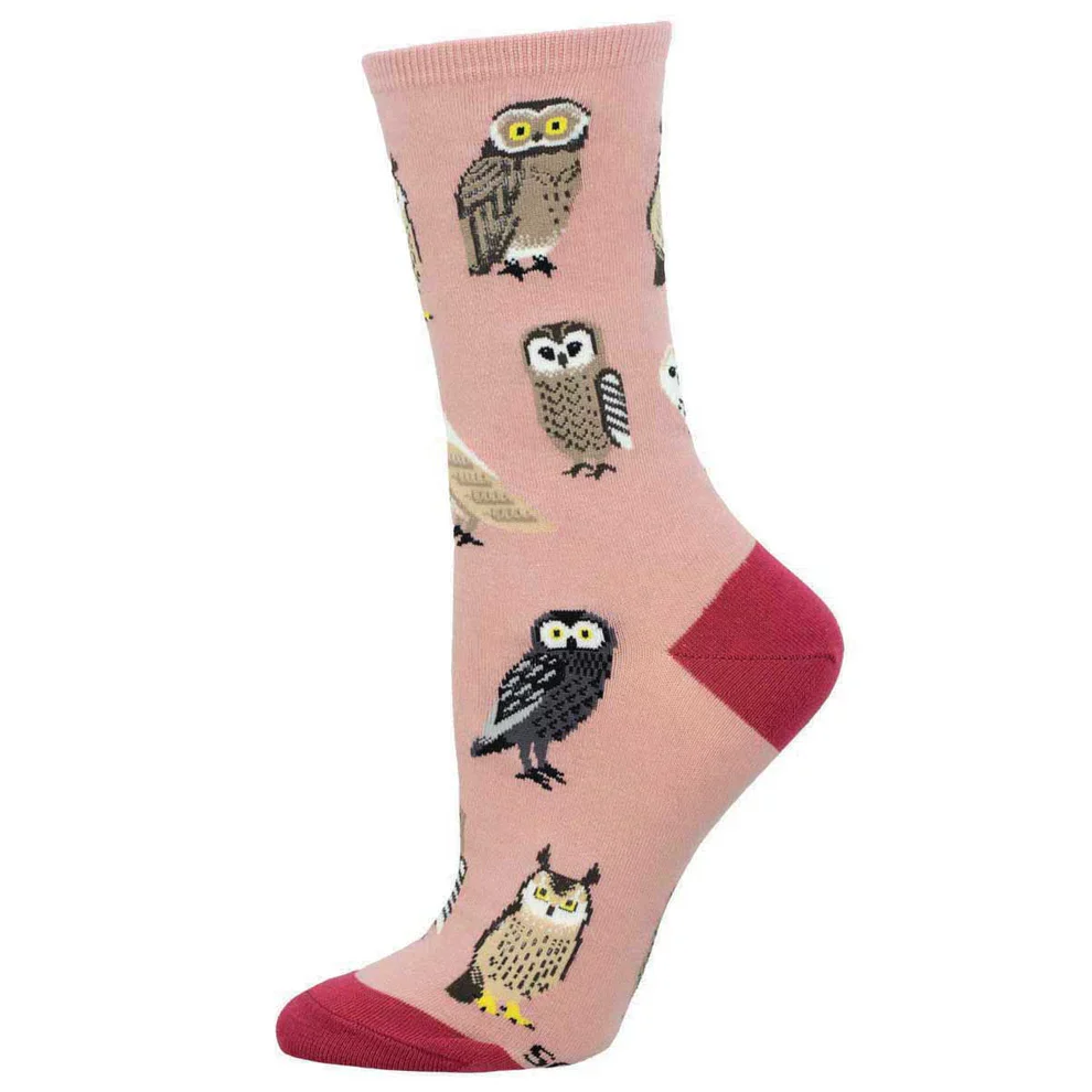 PARLIAMENT OF OWLS - Image 2
