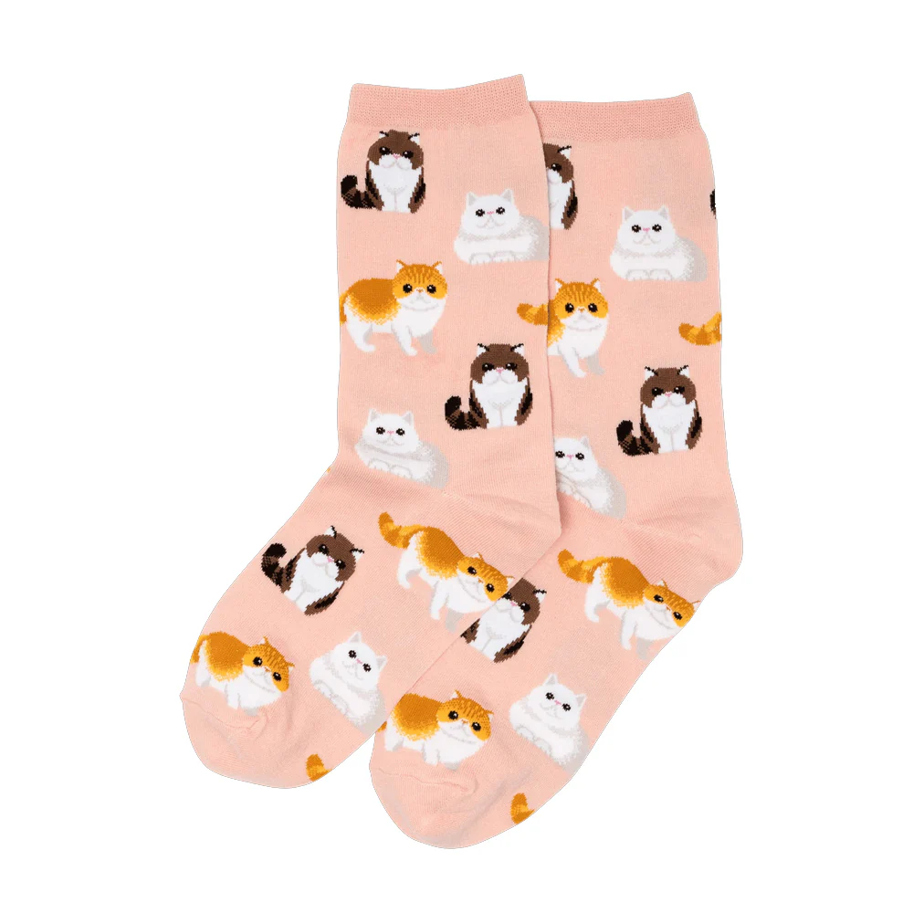 PERSIAN CAT SOCKS - Image 4