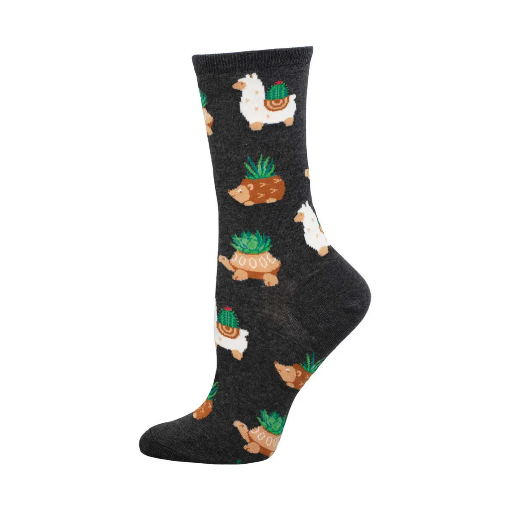 SUCCULENT POTTERY SOCKS - Image 2